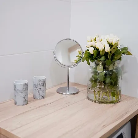 アパート Next To The Old Town & Krasinski Garden ワルシャワ